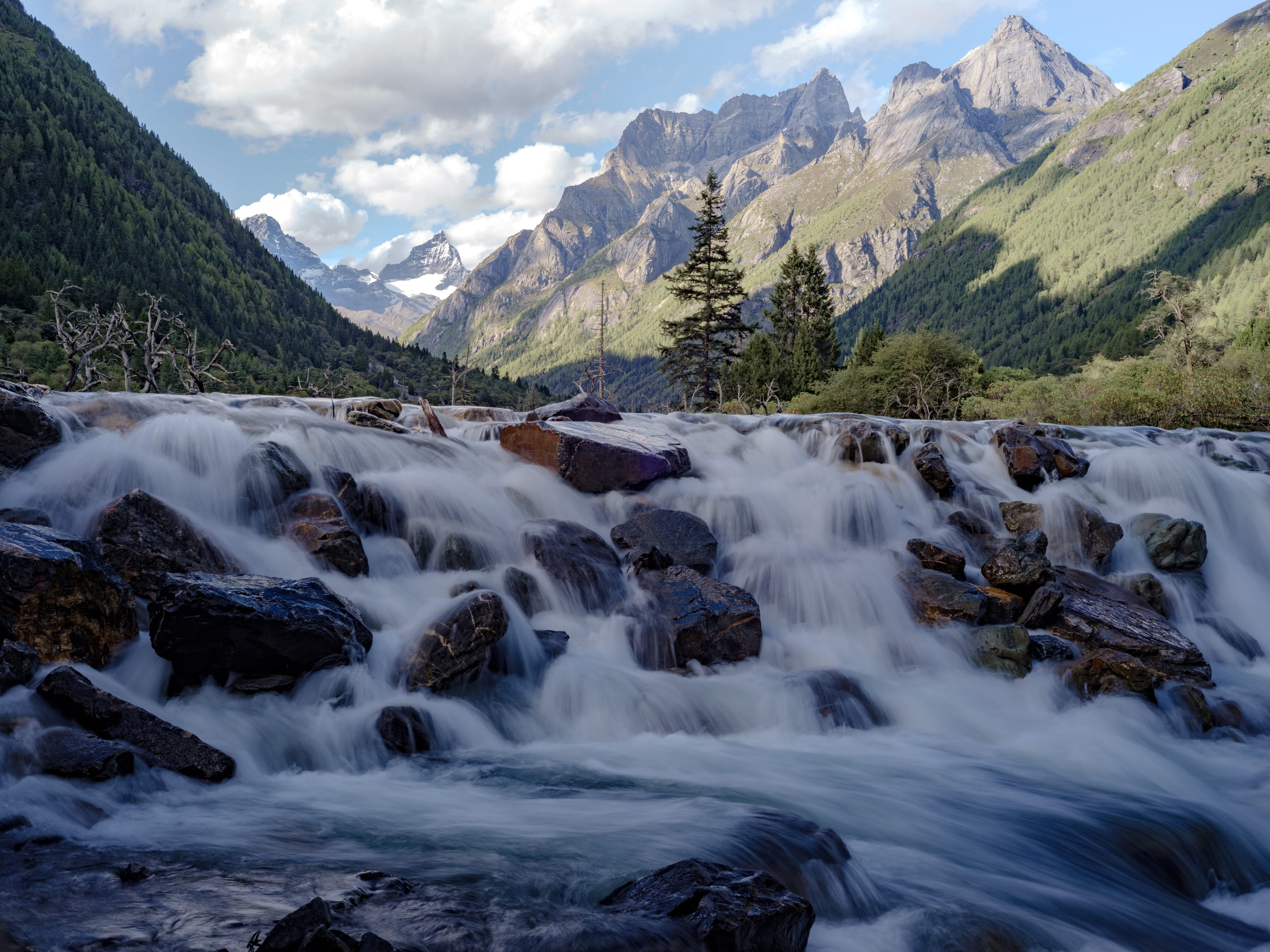 雪山脚下的溪流漫过黑色岩石，远处是针叶林与山峰